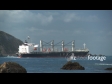 Log Ship 1 1465